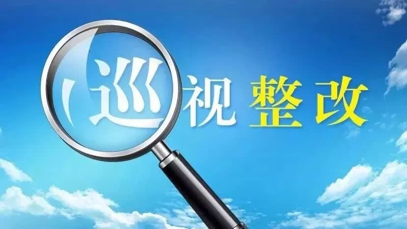 以巡視整改實(shí)際行動(dòng)踐行“兩個(gè)維護(hù)”