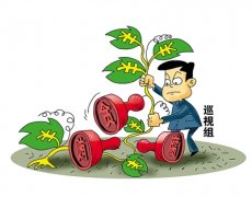 巡視組直指央企真問題