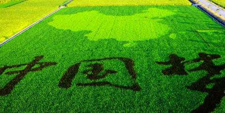 真抓實干補(bǔ)短板