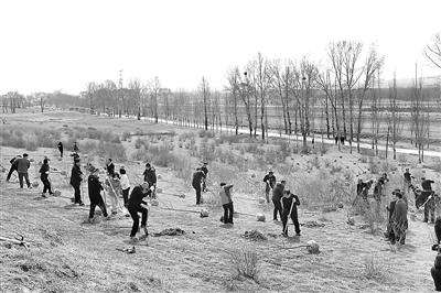 山西省右玉縣位于毛烏素沙漠的天然風(fēng)口地帶，風(fēng)沙成患、山川貧瘠。右玉縣委率領(lǐng)全縣干部群眾，一任接著一任干，把“不毛之地”變成了“塞上綠洲”。圖為今年4月15日，朔州市黨員干部在右玉縣新城鎮(zhèn)袁家村柳溝山上植樹。  （右玉縣紀(jì)委監(jiān)委供圖）