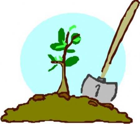 種樹(shù)與立德