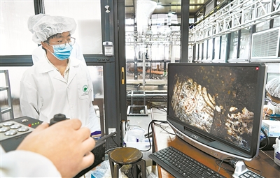 高科技“神器”助力現(xiàn)代考古 用科技之鑰打開歷史之門