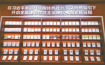 以重大成就和歷史經(jīng)驗(yàn)遠(yuǎn)觀(guān)未來(lái)