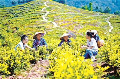 織密廉潔亞運監(jiān)督網(wǎng)