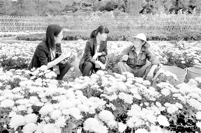 浙江以高質(zhì)量監(jiān)督保障共同富裕示范區(qū)高質(zhì)量推進(jìn)