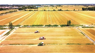 堅(jiān)定做好自己的事