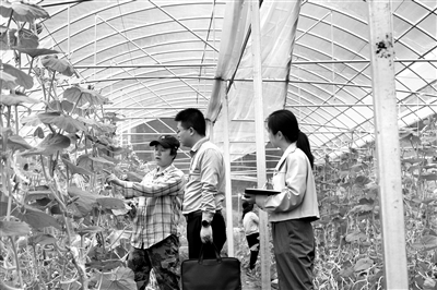 打傘破網(wǎng) 激濁揚清